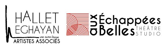 logo hallet echappe site 80